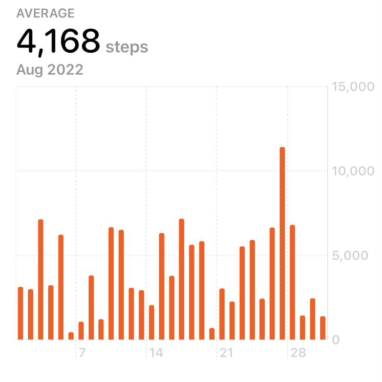 A diagram of a bar chart that depicts the number of steps for each day in the month of August.