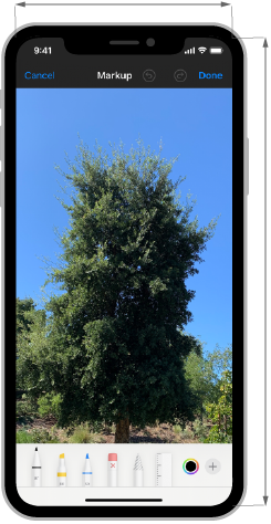 An image of an iPhone screen that displays a photo of a tall tree. The tool picker at the bottom edge obscures the foreground of the photo, including most of the tree’s trunk. Below the image, an X indicates the layout is not recommended.