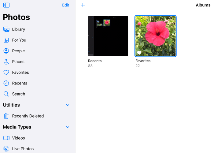 A partial screenshot of the Albums view in Photos, where a rounded halo outlines the focused album.