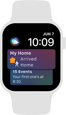 A screenshot of the Siri watch face that displays the items the wearer finds most relevant.