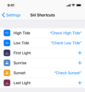 Partial screenshot of the Siri Shortcuts screen in Settings, which displays a list of three shortcuts added by the user and three custom Add buttons the user can tap to add more shortcuts.