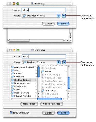 Disclosure button in a Save As dialog