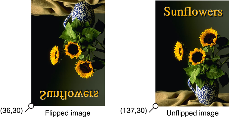 Image orientation in an unflipped view