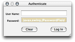 Login window user interface